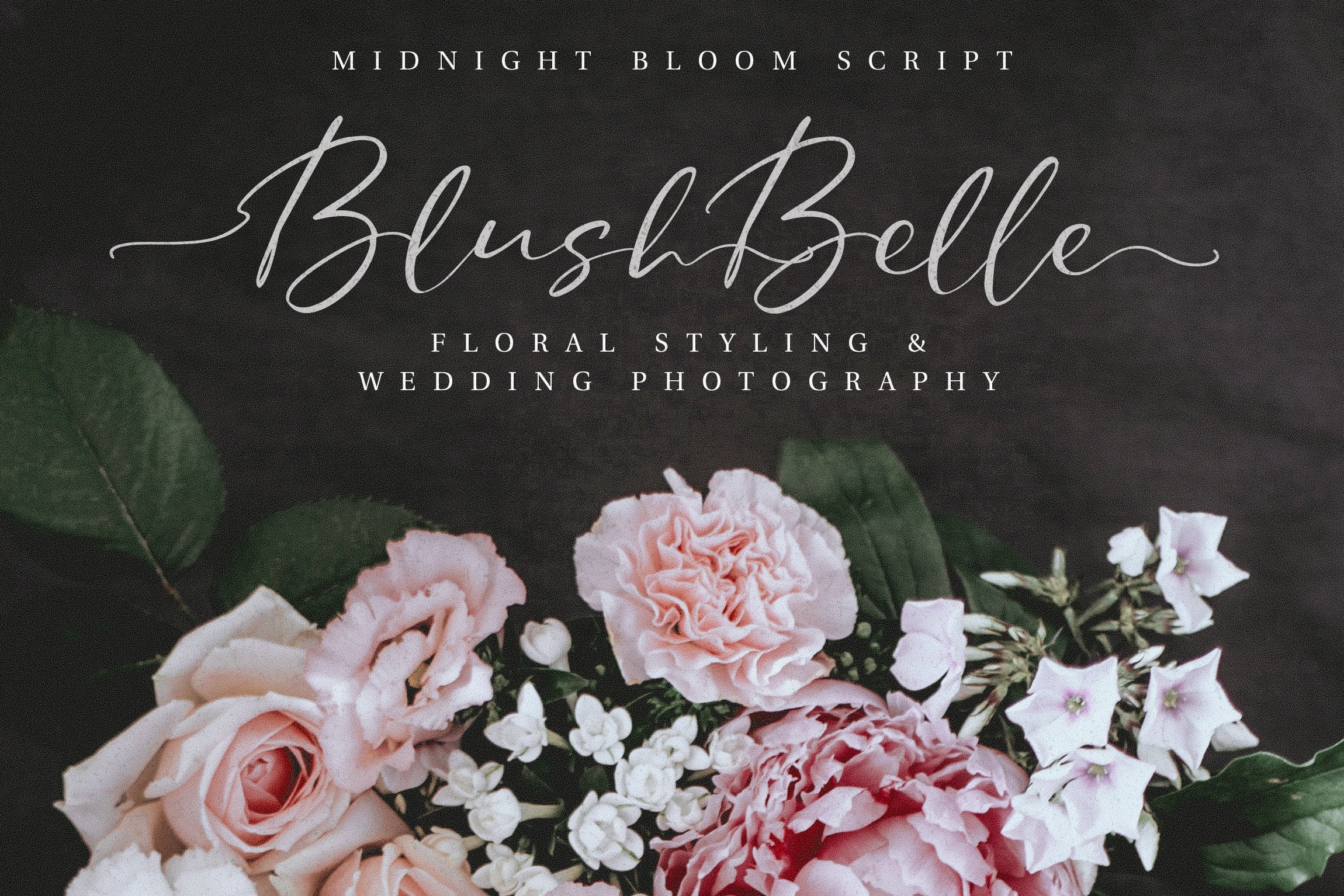 Midnight Bloom