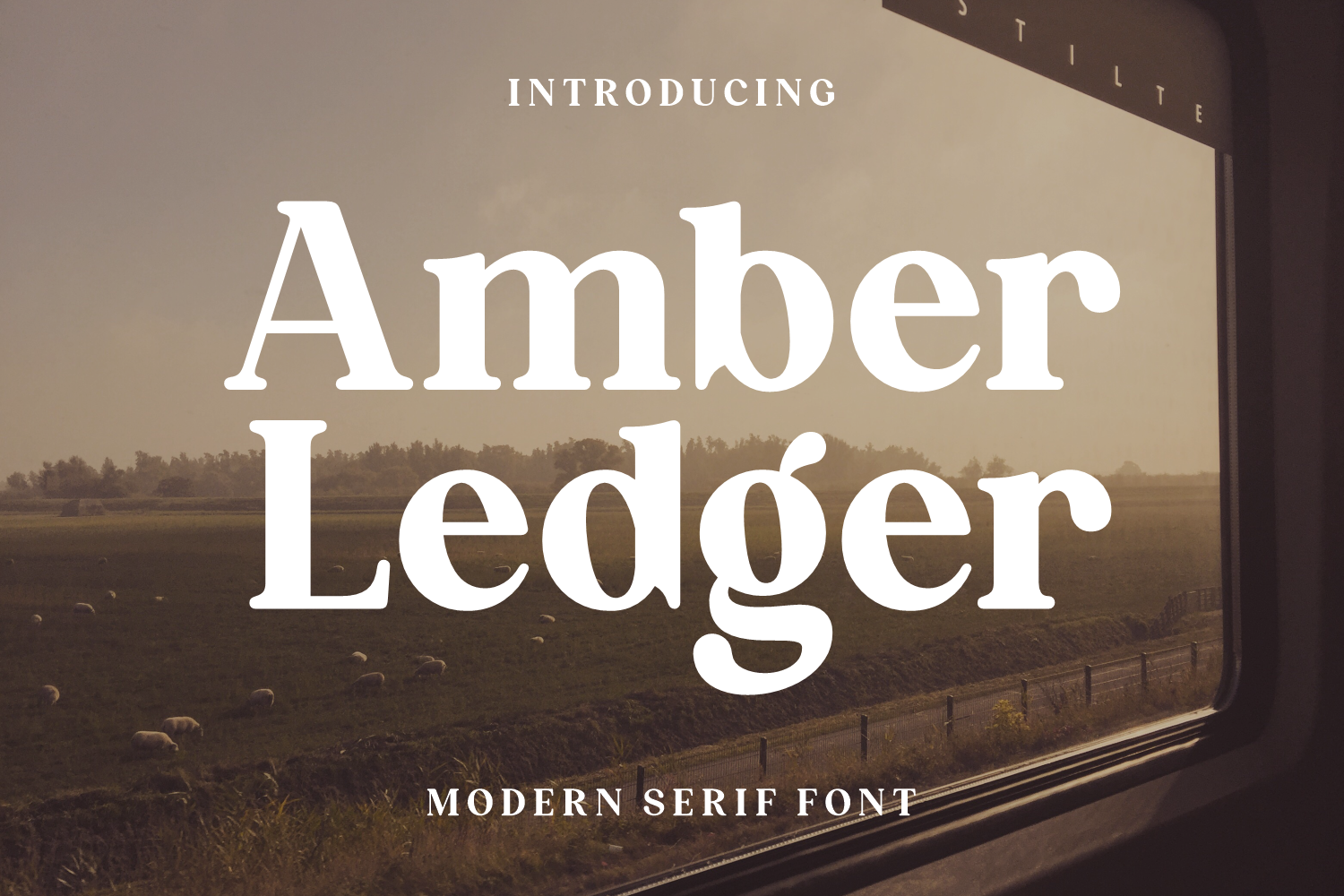 Amber Ledger