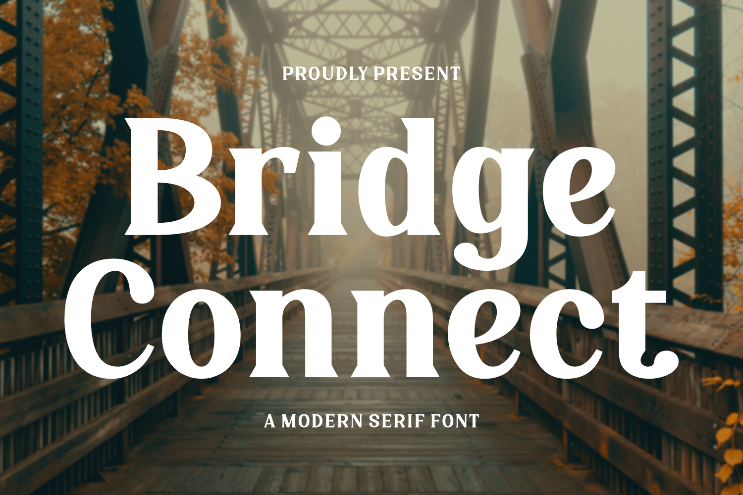 Bridge Connect