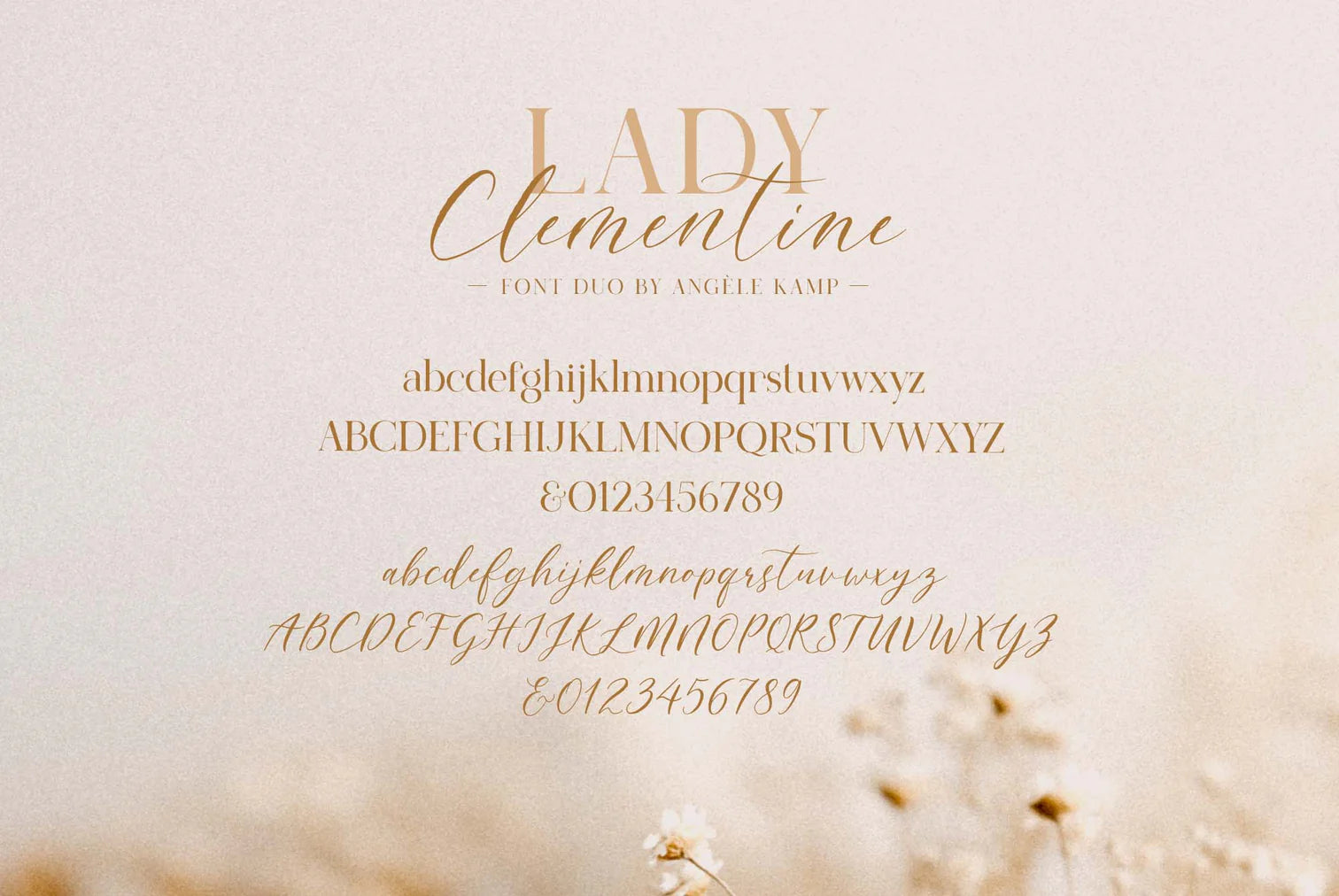 Clementine font duo