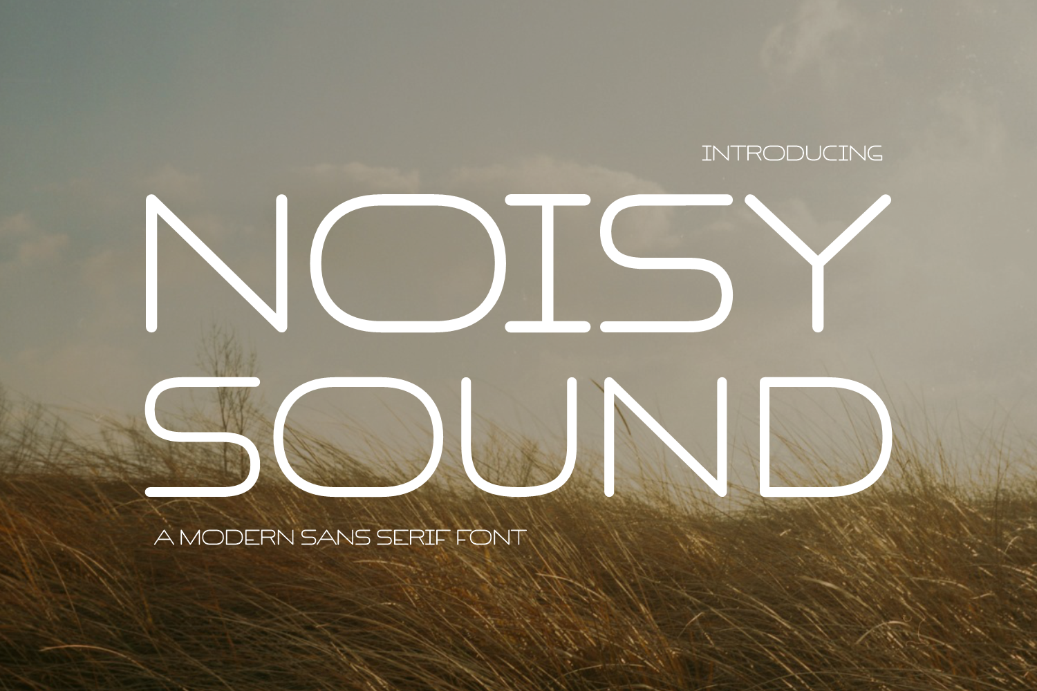 Noisy Sound