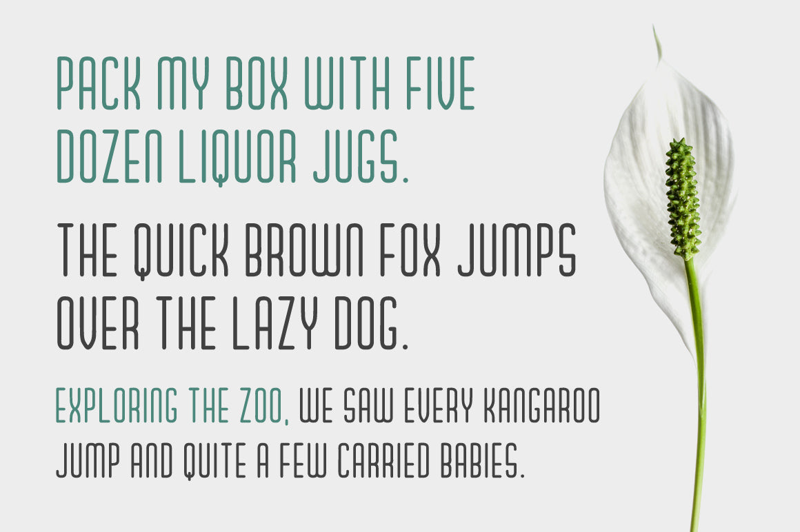 Proxisol Font