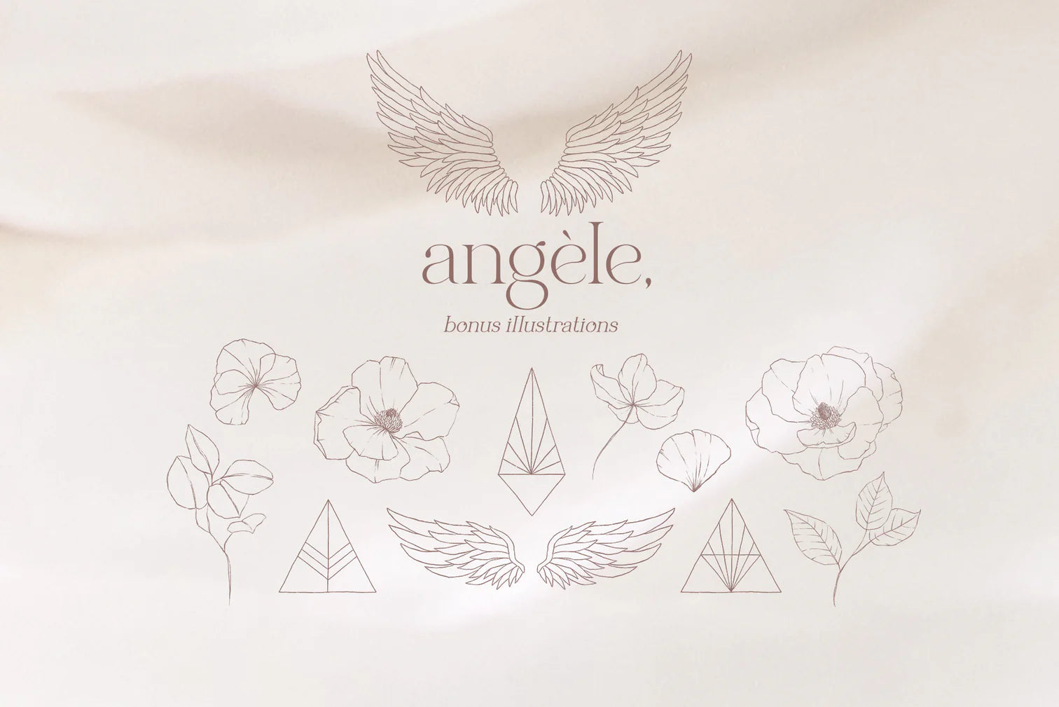 Angele font family
