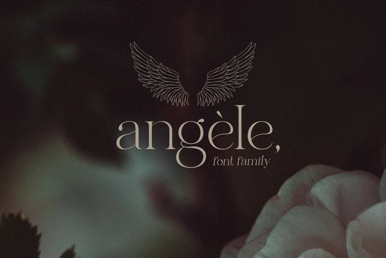 Angele font family