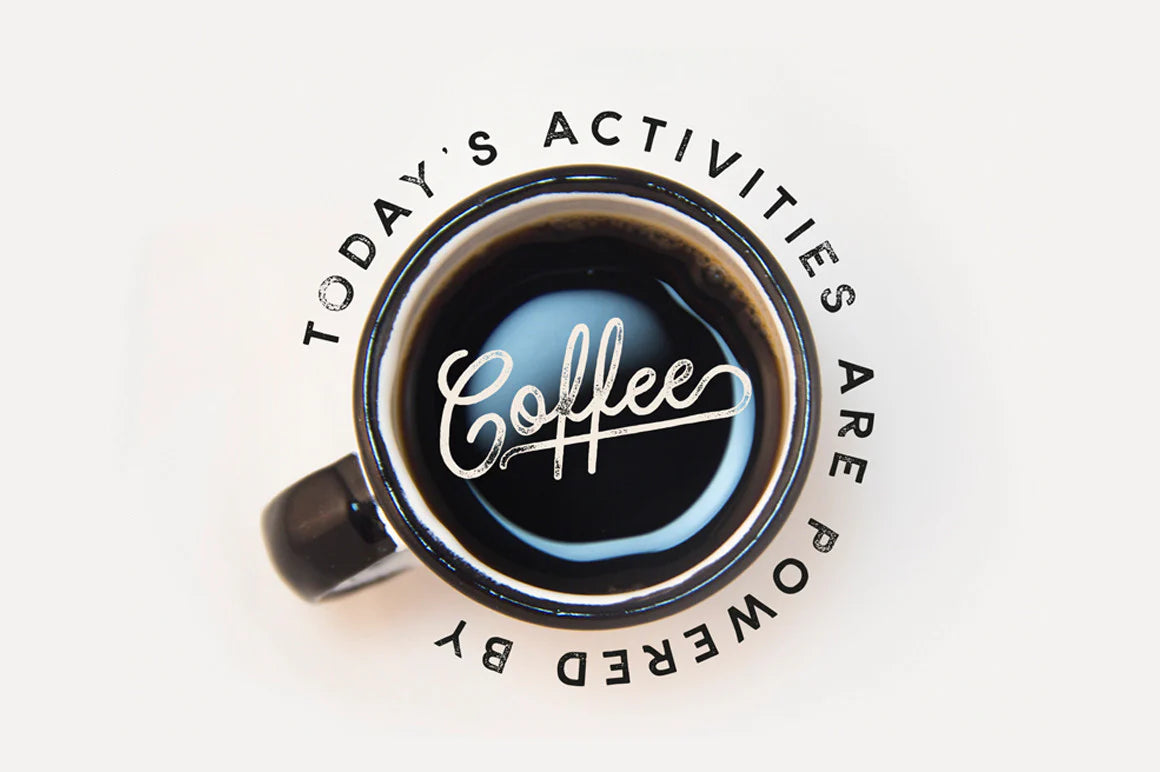 Bloomsbury - Script, Sans & Serif