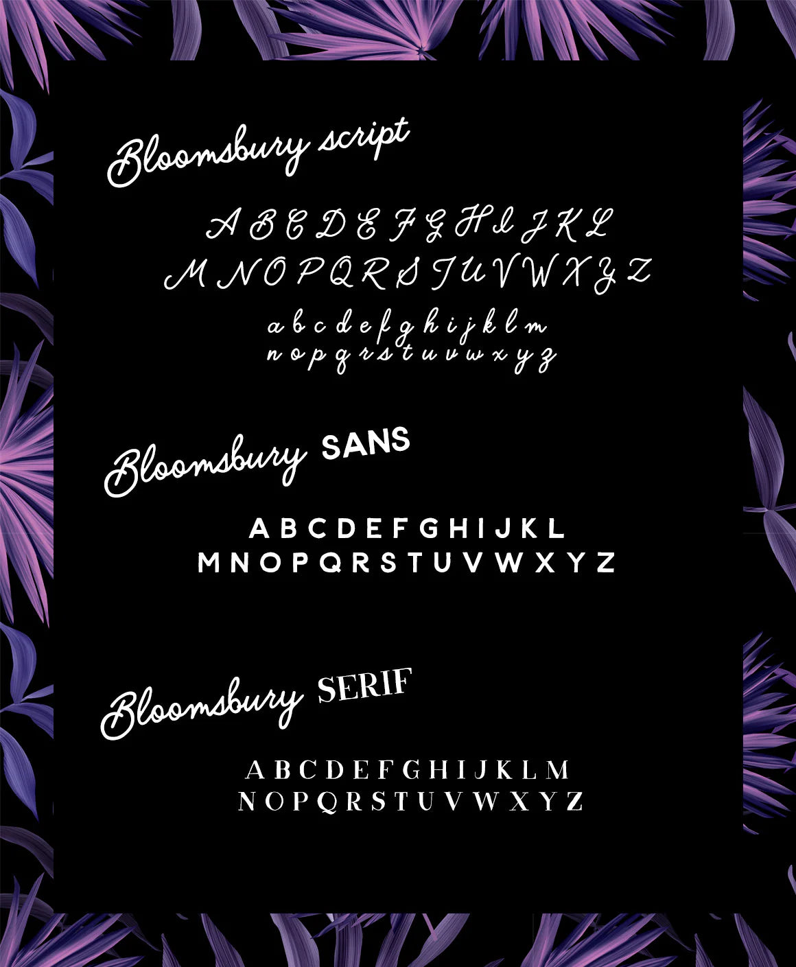 Bloomsbury - Script, Sans & Serif