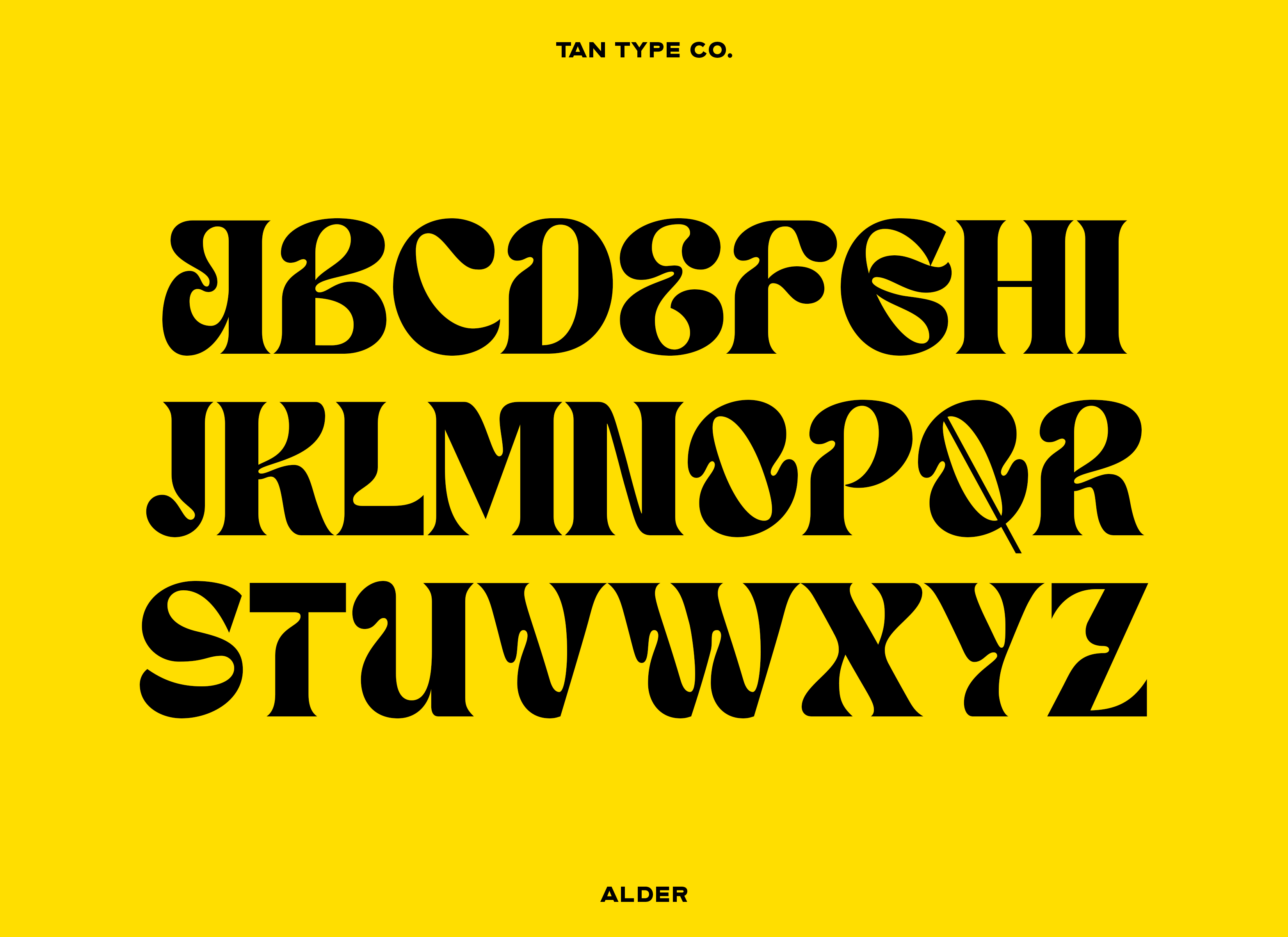 ALDER