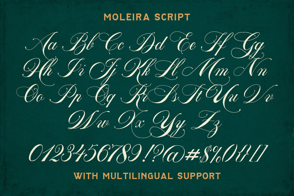 Moleira Font Collection
