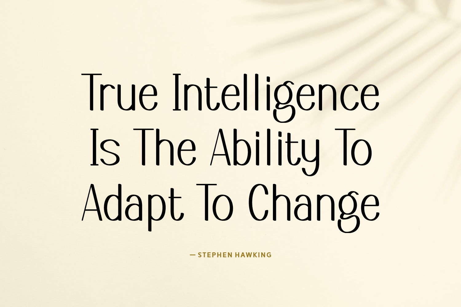 Believe In Solutions