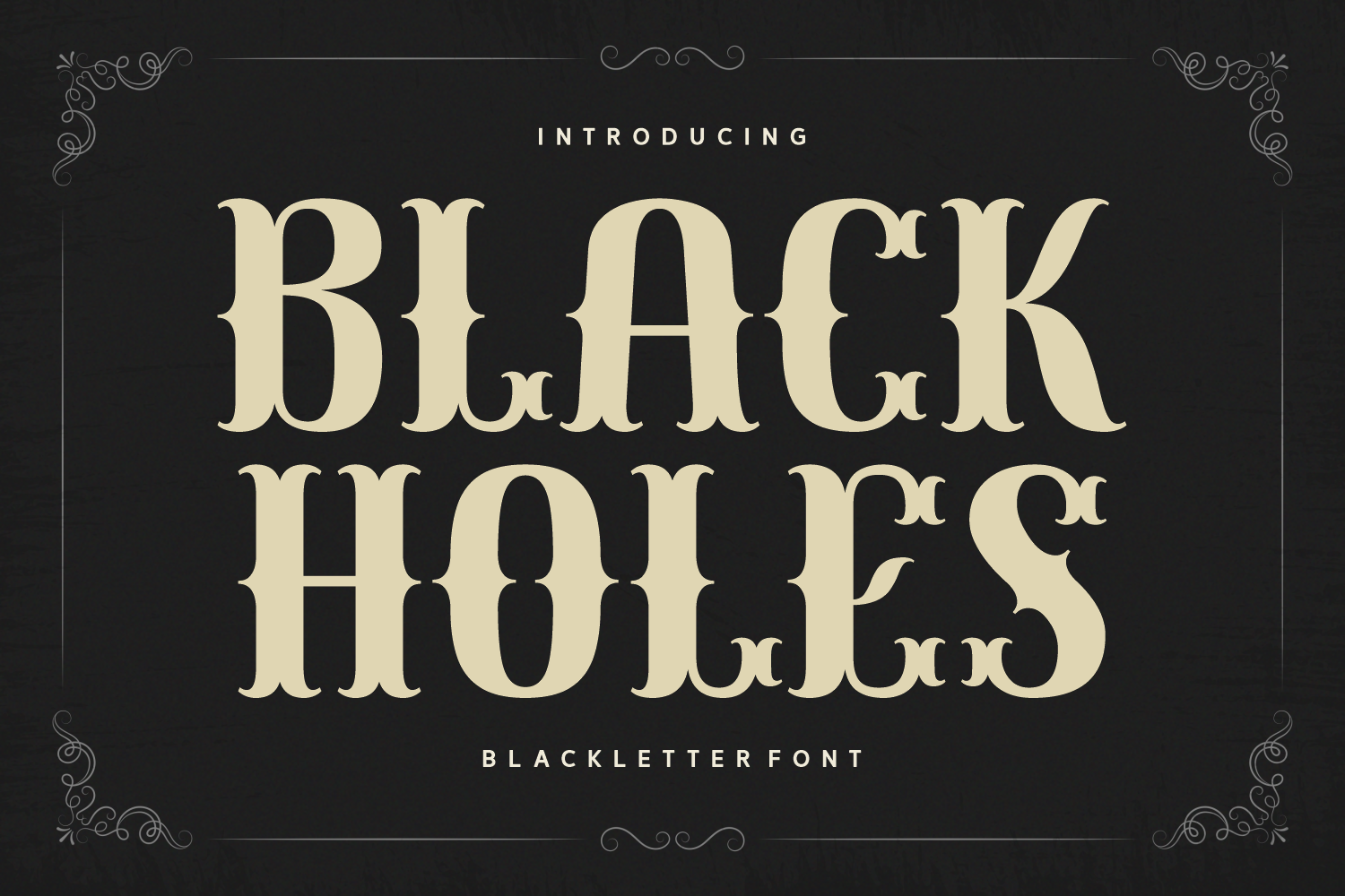 Black Holes
