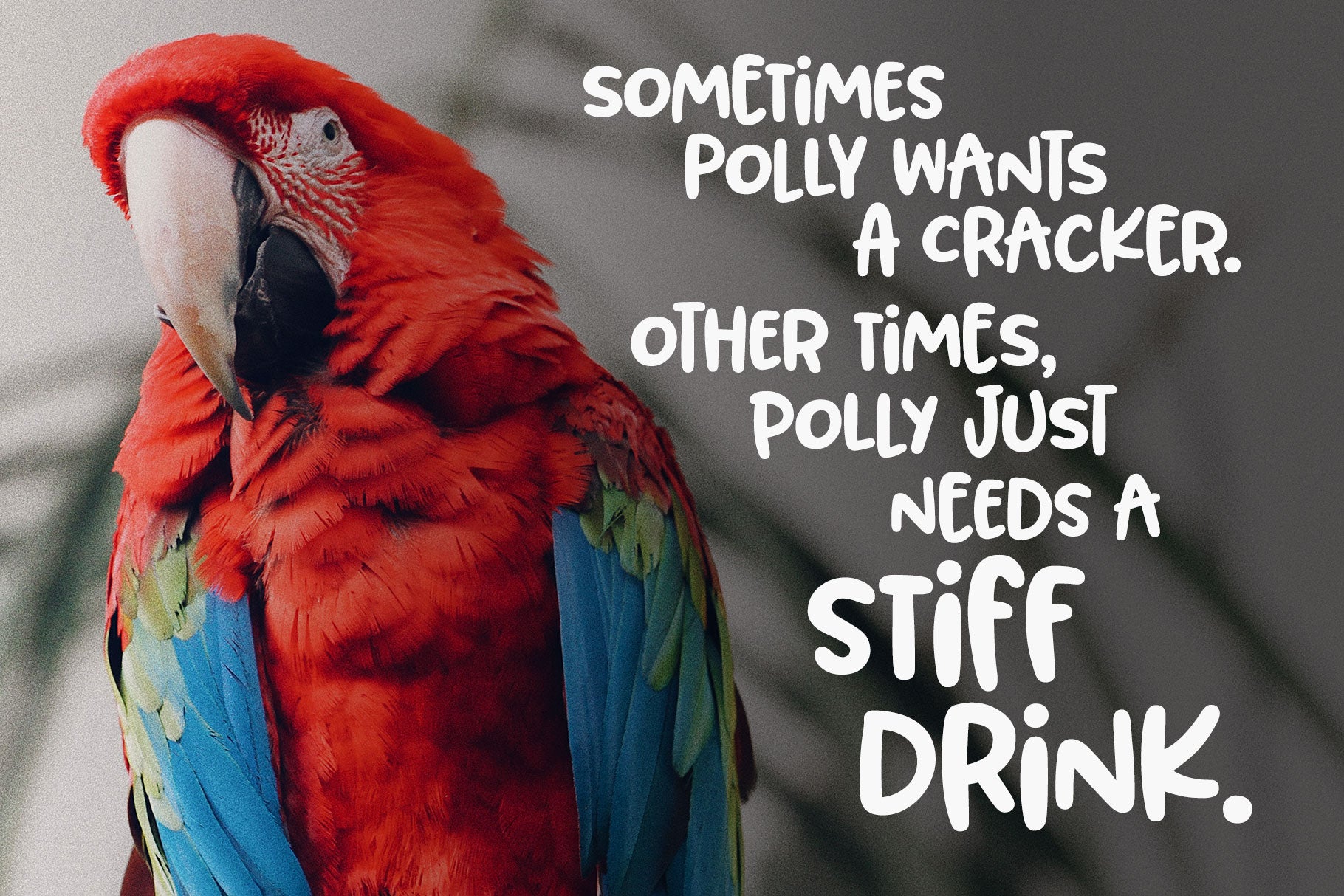 Blorp
