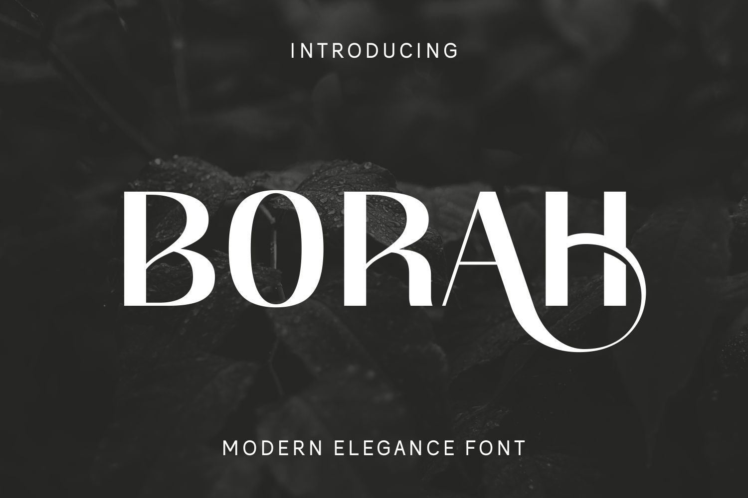 Borah