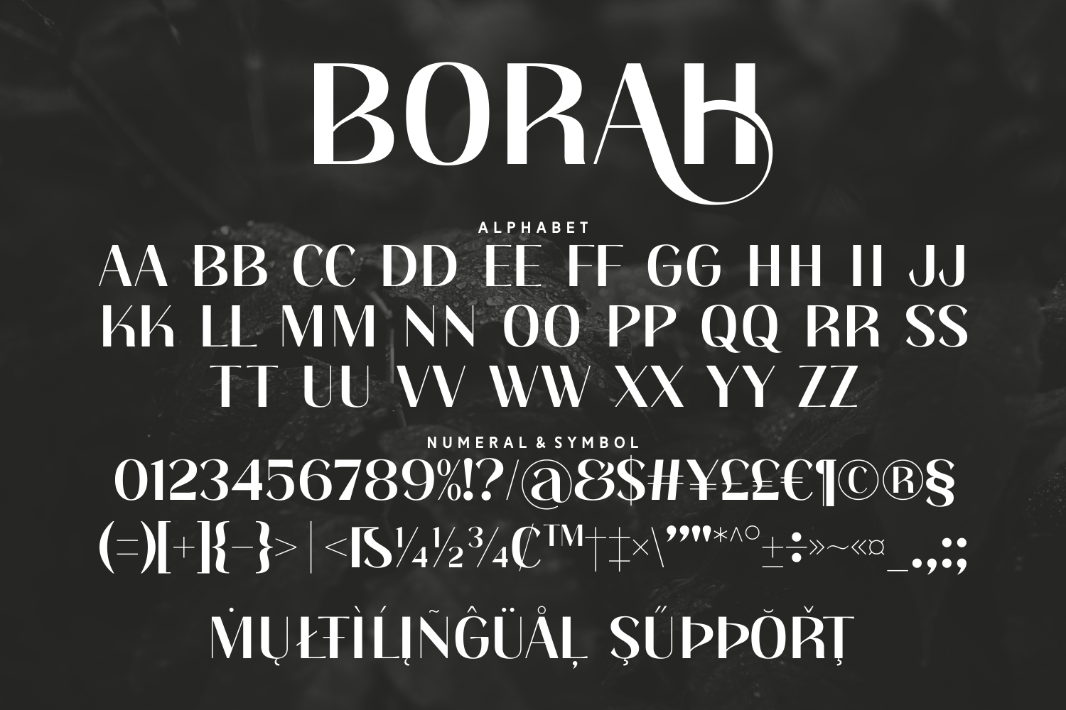 Borah