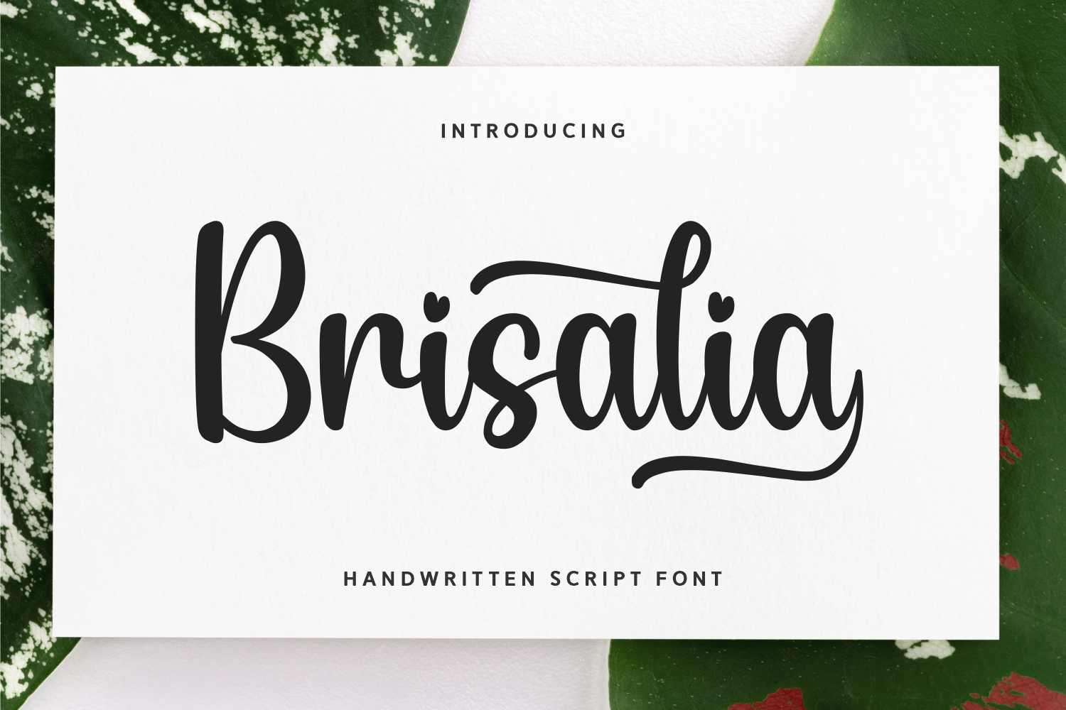 Brisalia