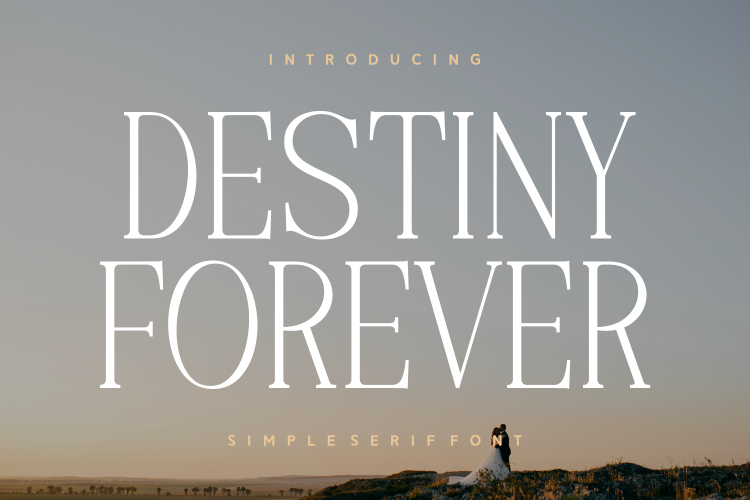 Destiny Forever