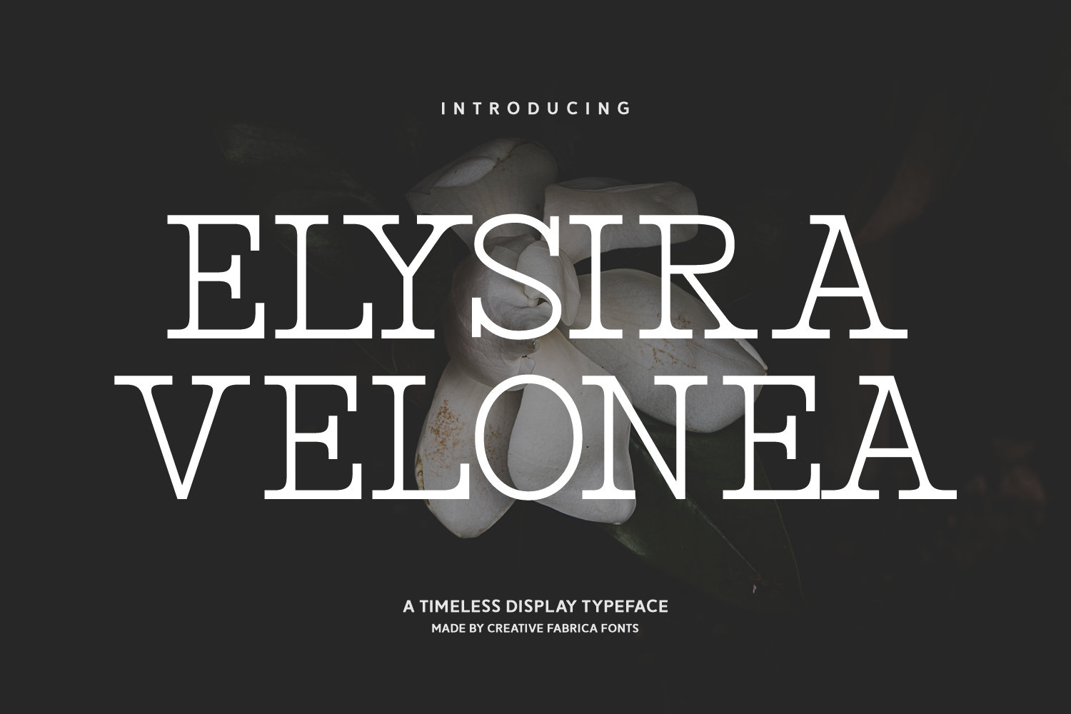 Elysira Velonea