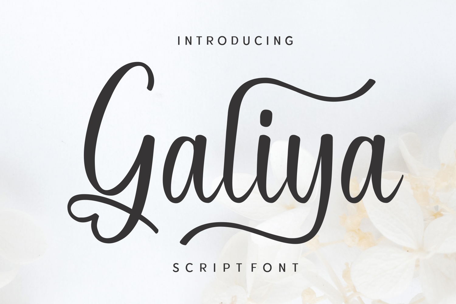 Galiya