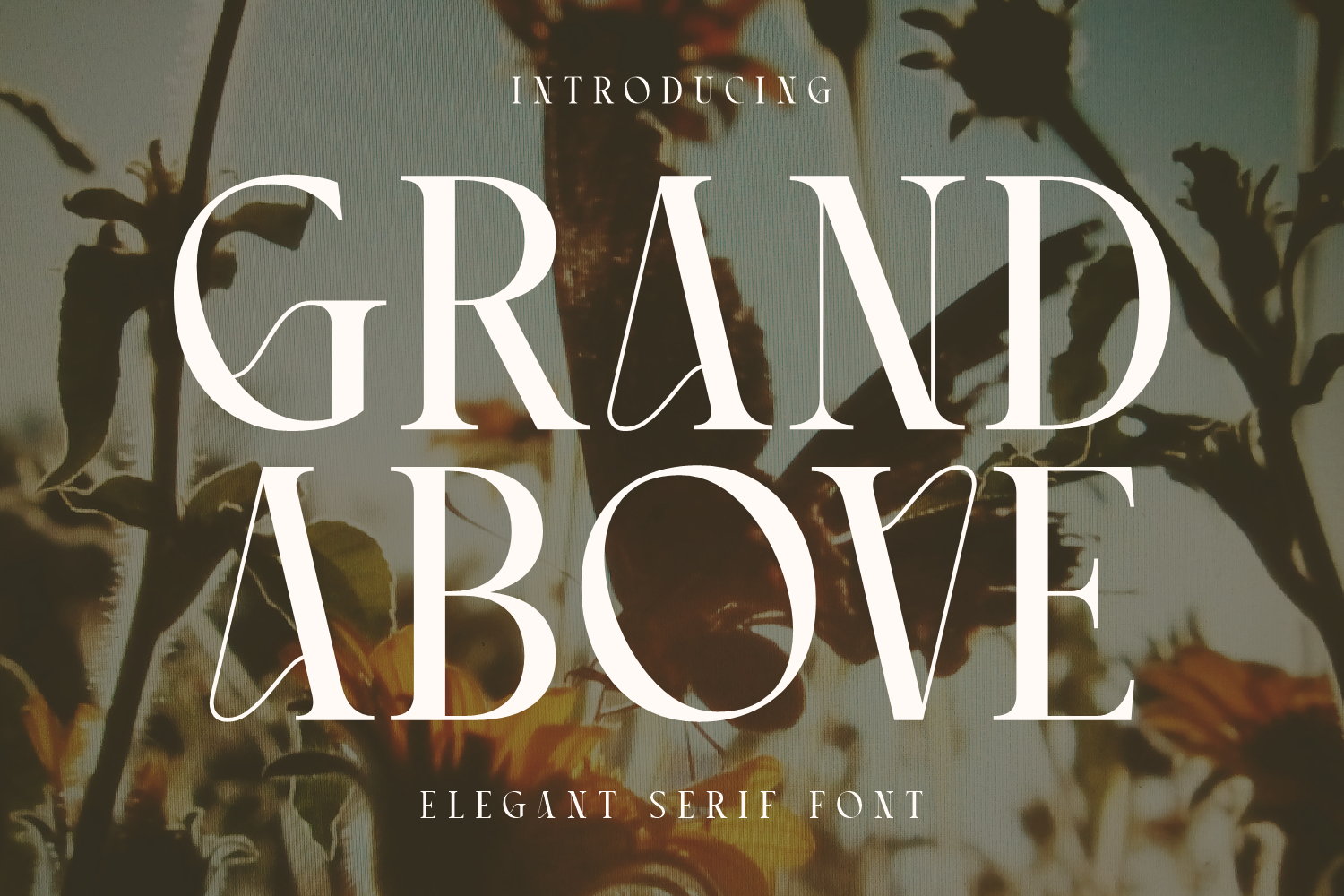 Grand Above