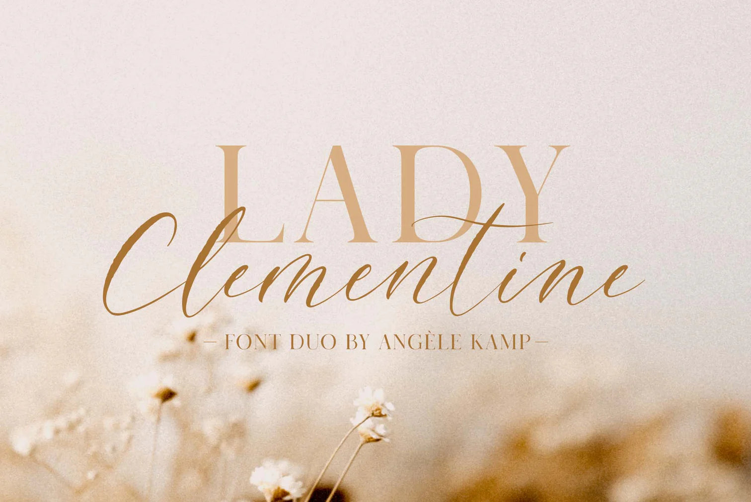 Clementine font duo