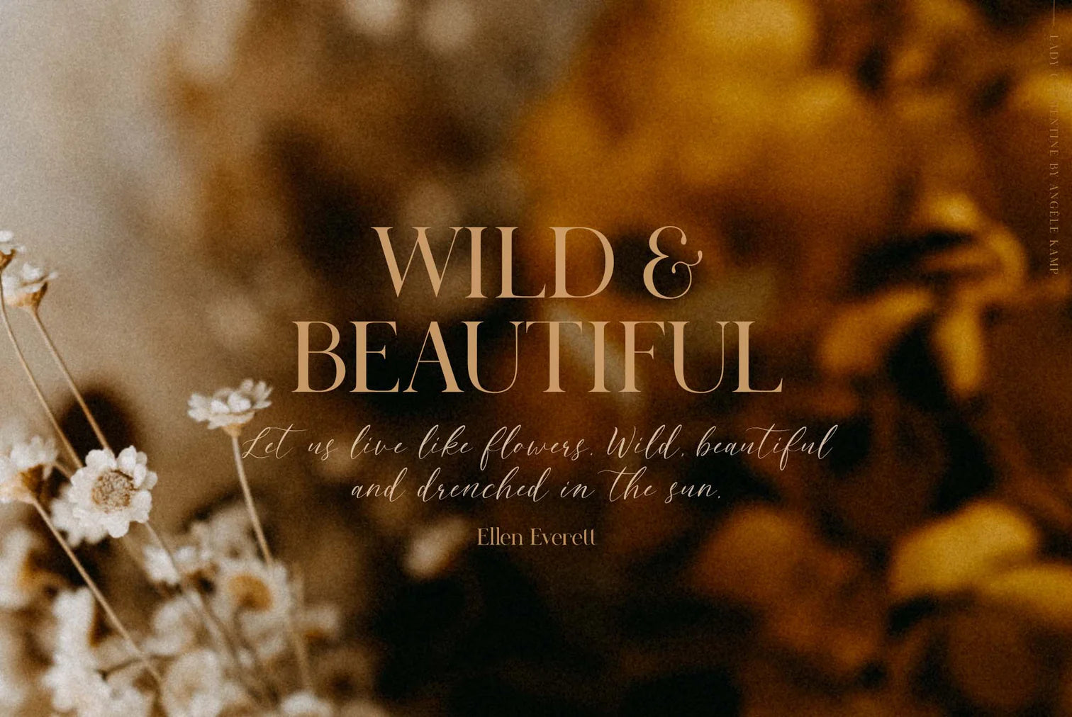 Clementine font duo