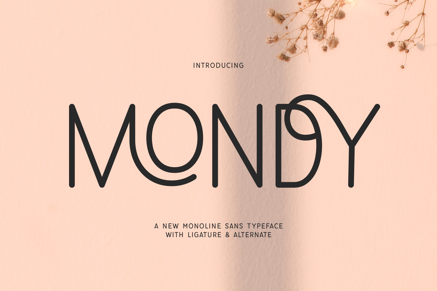 Mondy