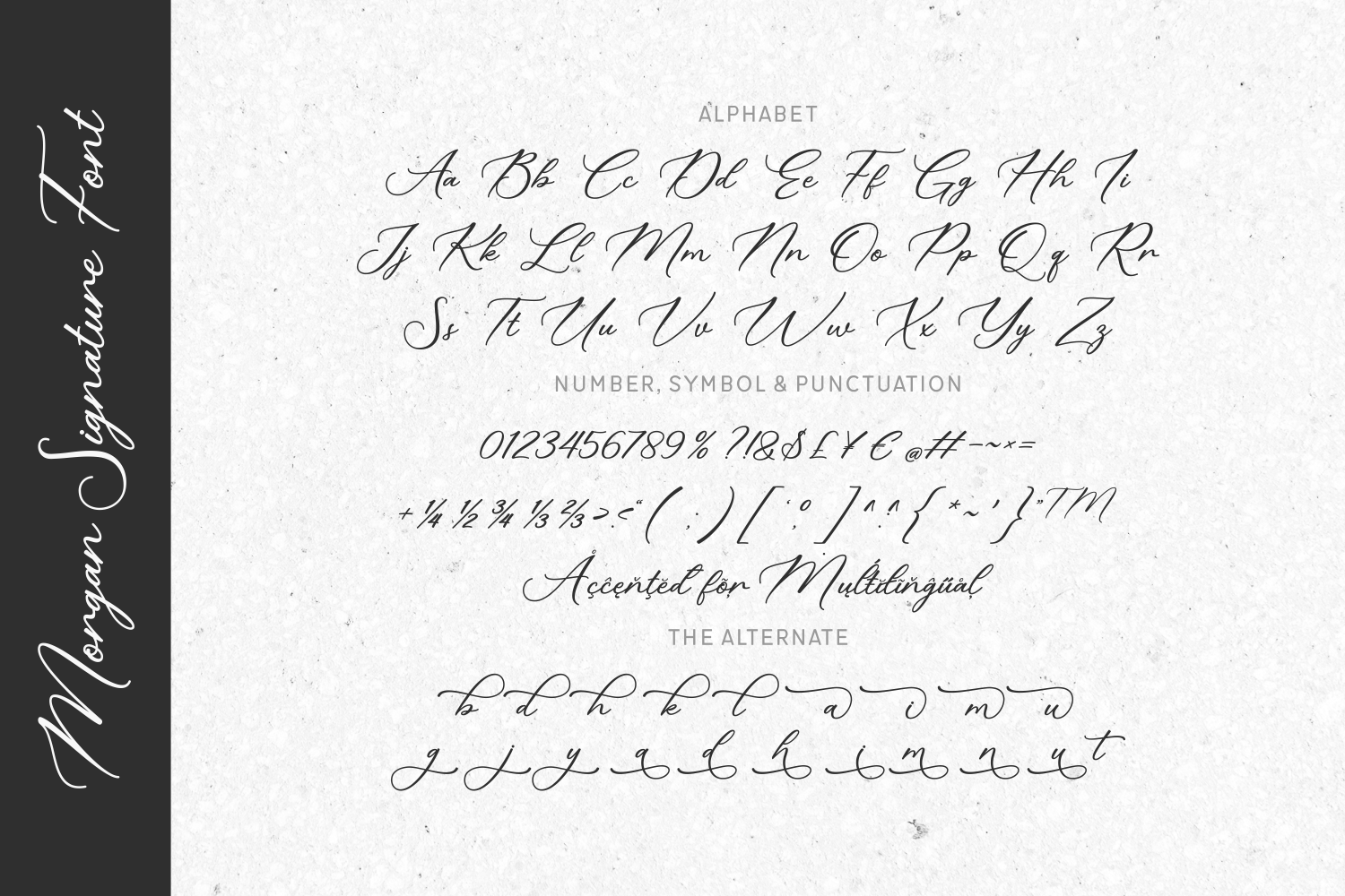 Morgan Signature