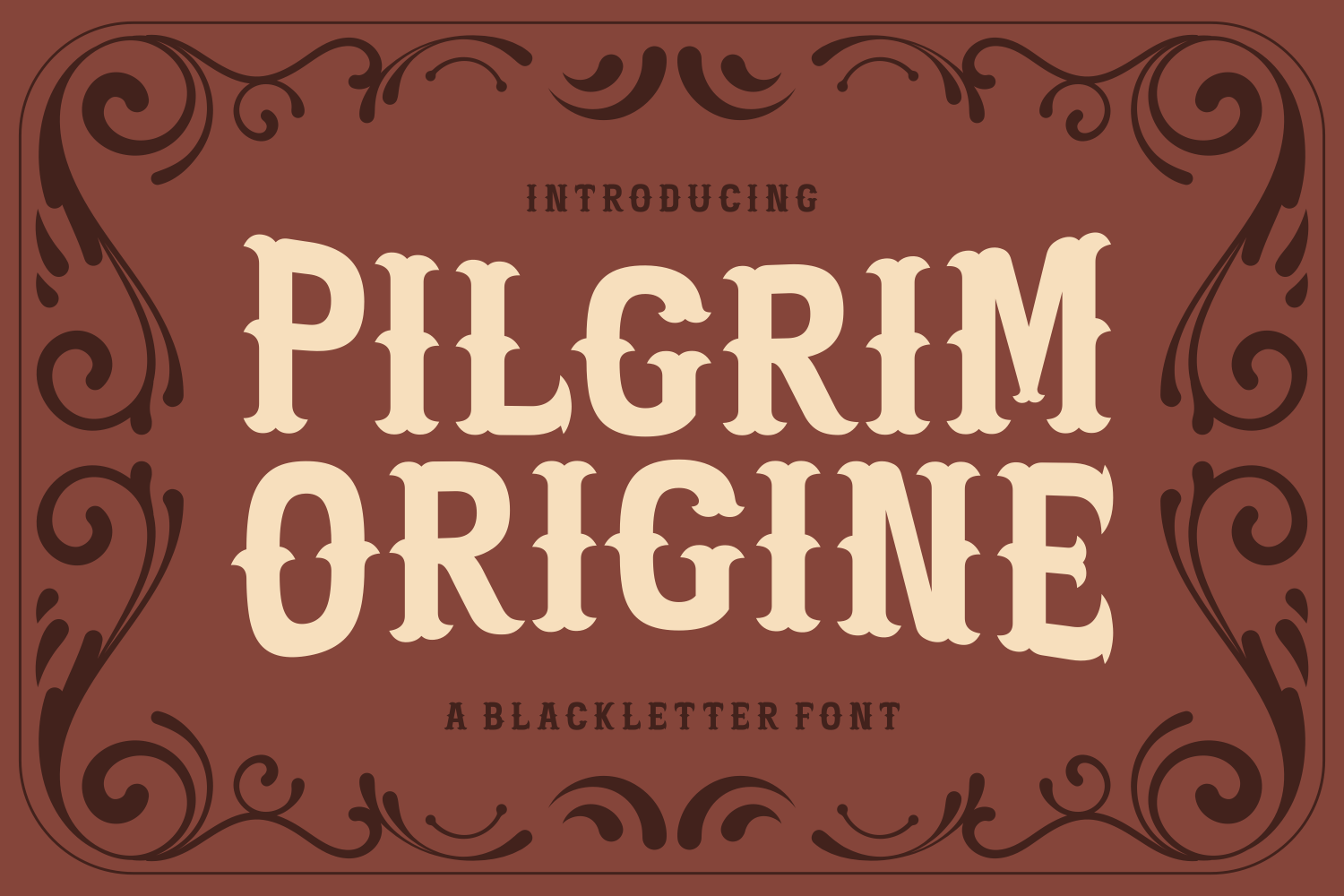 Pilgrim Origine