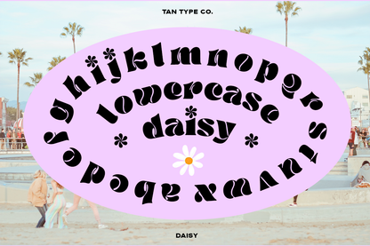 DAISY