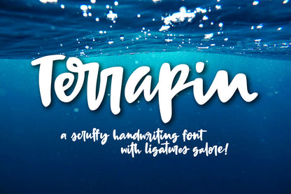 Terrapin