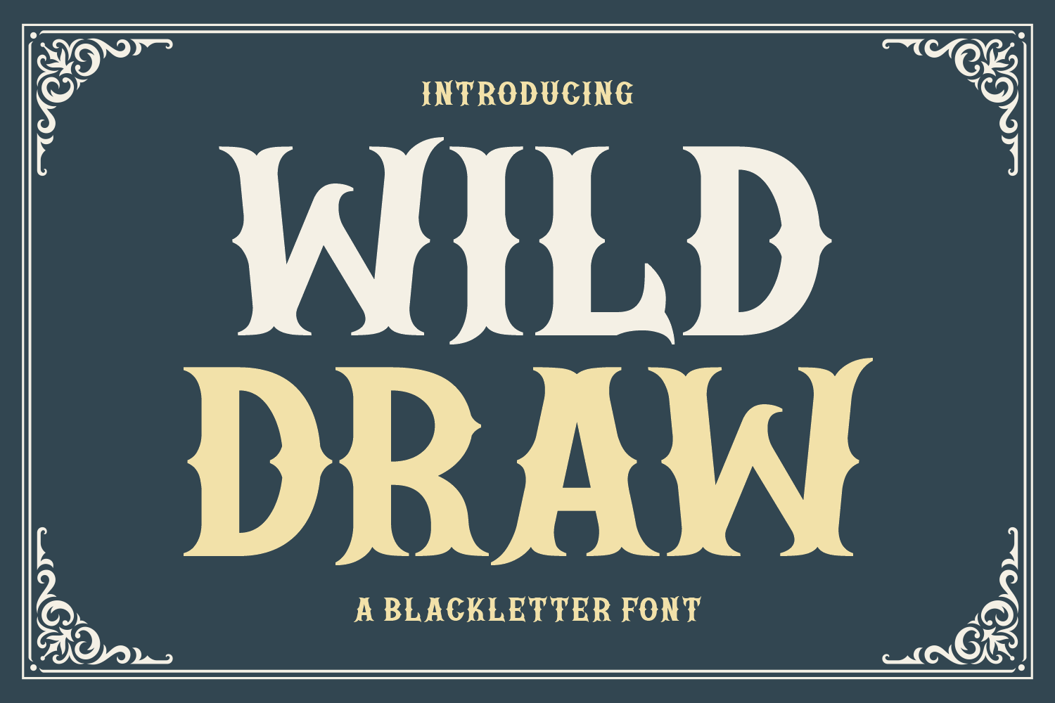 Wild Draw