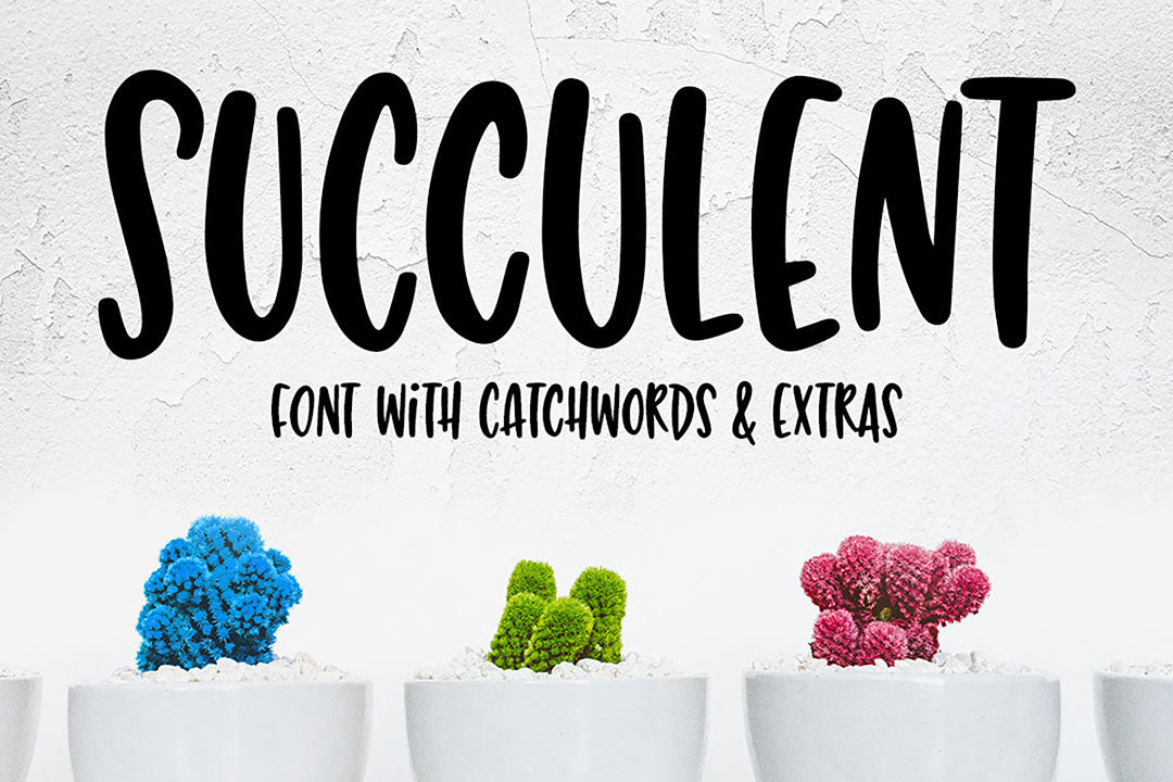 Succulent